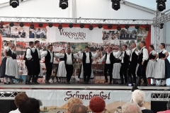schwabenfest_2018-10