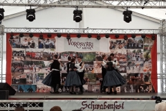schwabenfest_2018-6