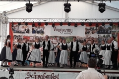 schwabenfest_2018-8